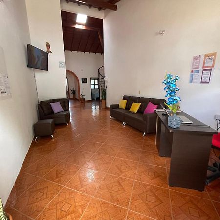 Hostel La Hormiga บาริชารา ภายนอก รูปภาพ